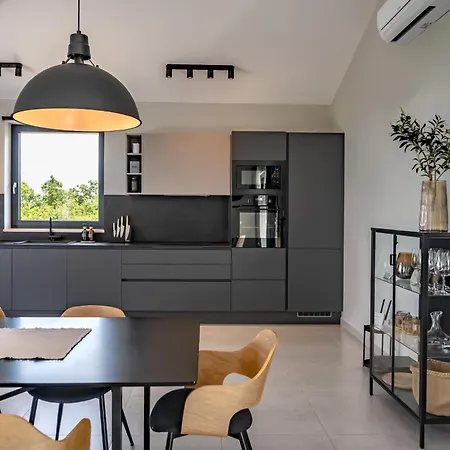 Tonka With Jacuzzi Sauna And Private Pool Labin (Istria)